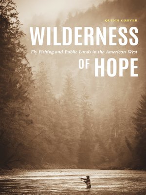 cover image of Wilderness of Hope